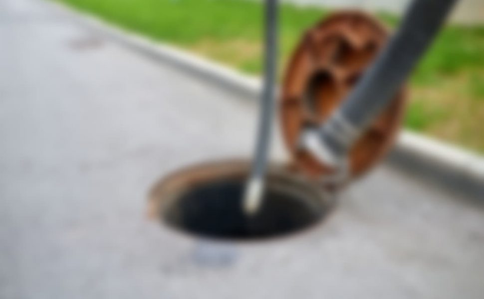 Integer ultrices est justo, at aliquet lectus